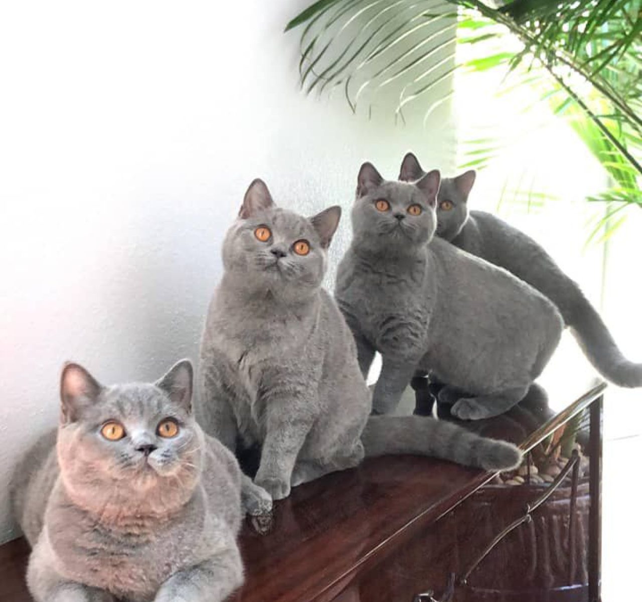 WhatsApp Image 2025-09-23 at 19.13.03 (1) (2)