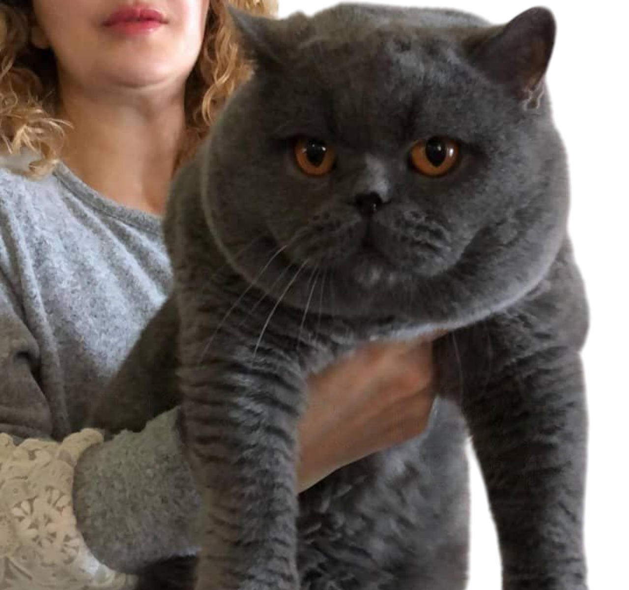 WhatsApp Image 2025-09-23 at 19.13.03 (2) (2)-Photoroom