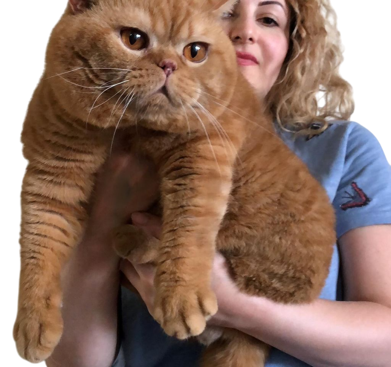 WhatsApp Image 2025-09-23 at 19.13.03 (3) (2)-Photoroom