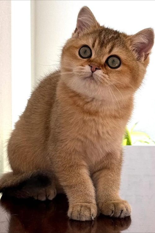 WhatsApp Image 2025-09-24 at 12.45.31 (2)