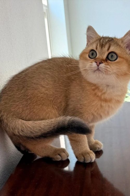 WhatsApp Image 2025-09-24 at 12.45.32