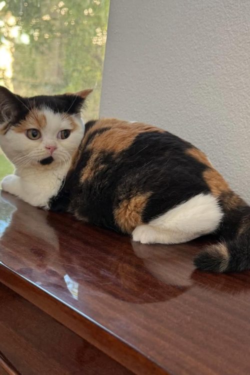 WhatsApp Image 2025-09-24 at 12.45.33 (1)