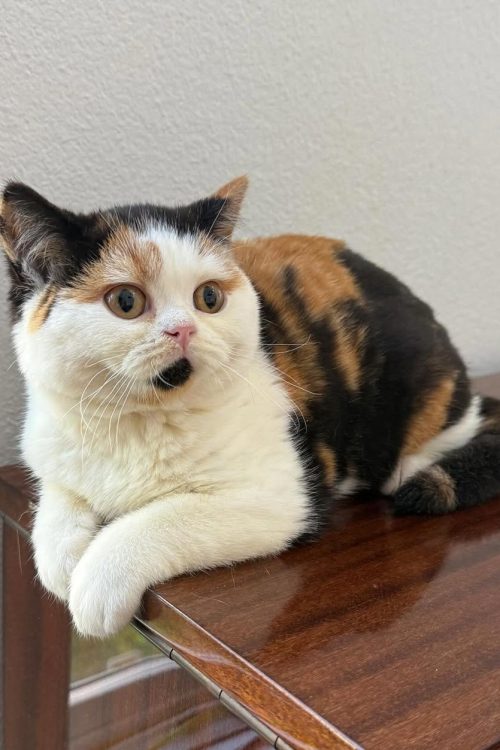 WhatsApp Image 2025-09-24 at 12.45.56