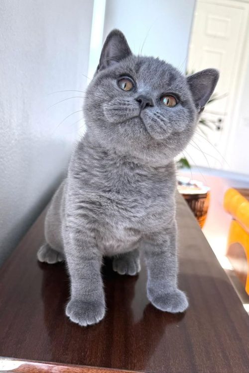 WhatsApp Image 2025-09-24 at 12.50.29