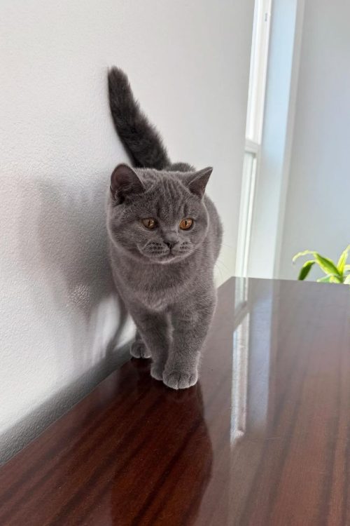 WhatsApp Image 2025-09-24 at 12.50.30 (1)