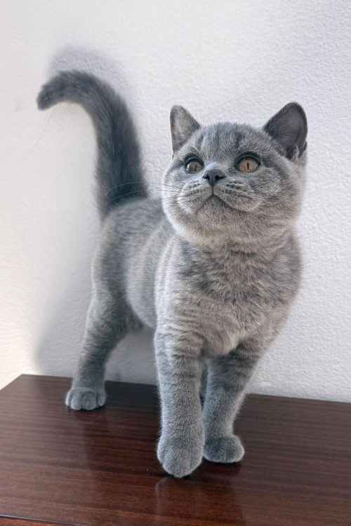 WhatsApp Image 2025-09-24 at 12.50.30