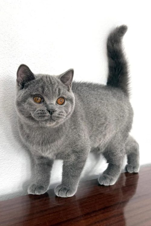 WhatsApp Image 2025-09-24 at 12.50.31