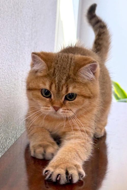 WhatsApp Image 2025-09-24 at 13.25.05 (1)