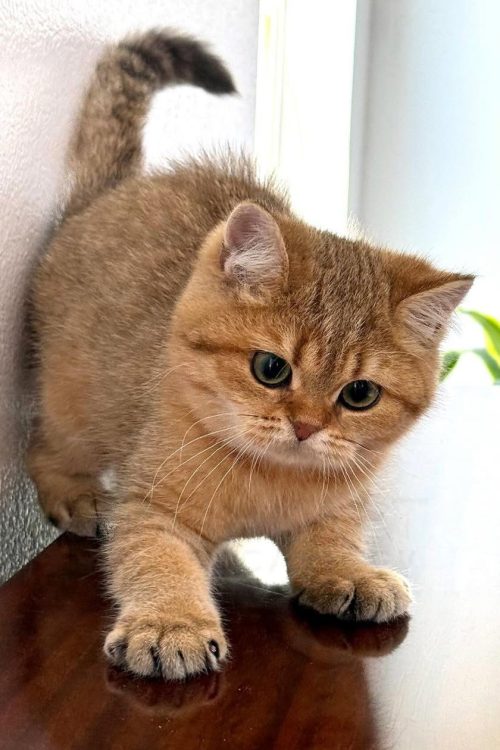 WhatsApp Image 2025-09-24 at 13.25.05