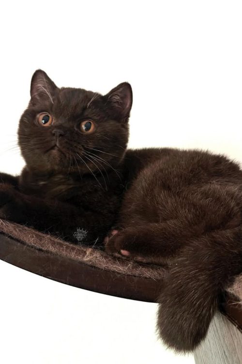 WhatsApp Image 2025-09-24 at 13.31.32 (2)