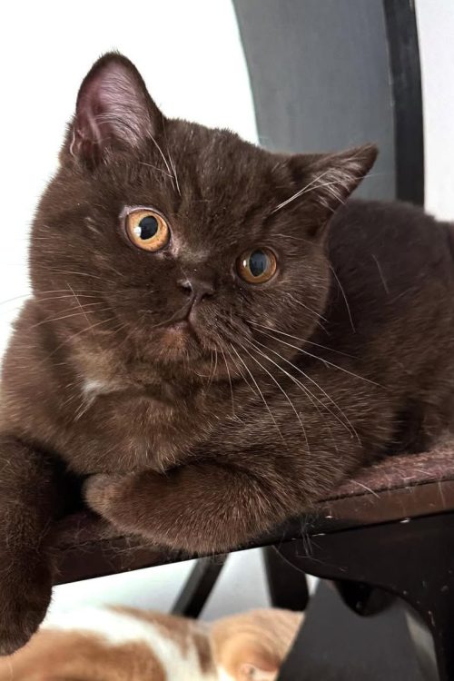 WhatsApp Image 2025-09-24 at 13.31.32