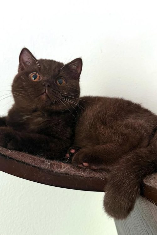 WhatsApp Image 2025-09-24 at 13.31.37