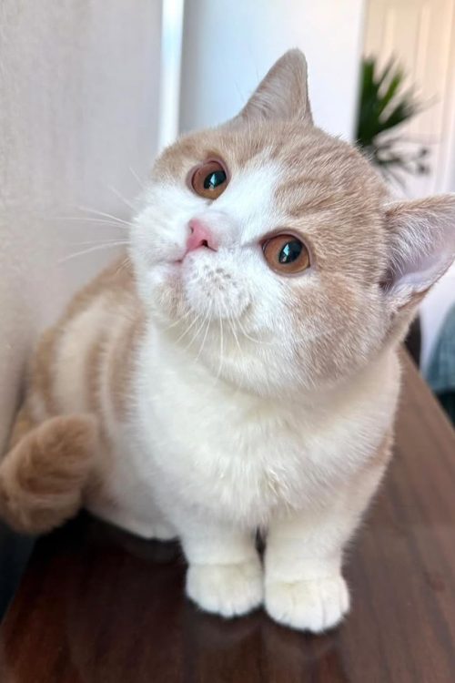 WhatsApp Image 2025-09-24 at 13.44.31 (1)