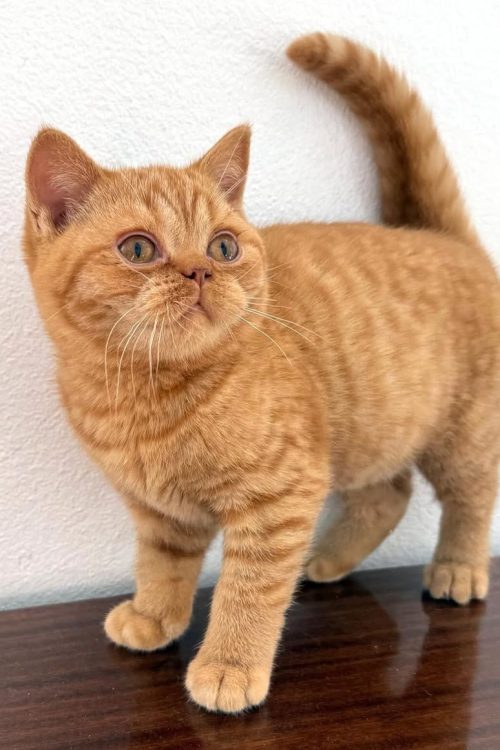 WhatsApp Image 2025-09-24 at 13.49.09 (1)