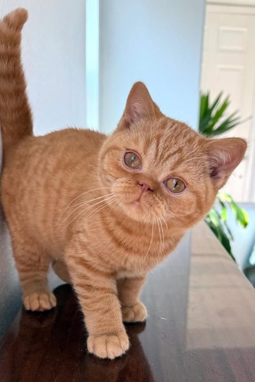 WhatsApp Image 2025-09-24 at 13.49.09