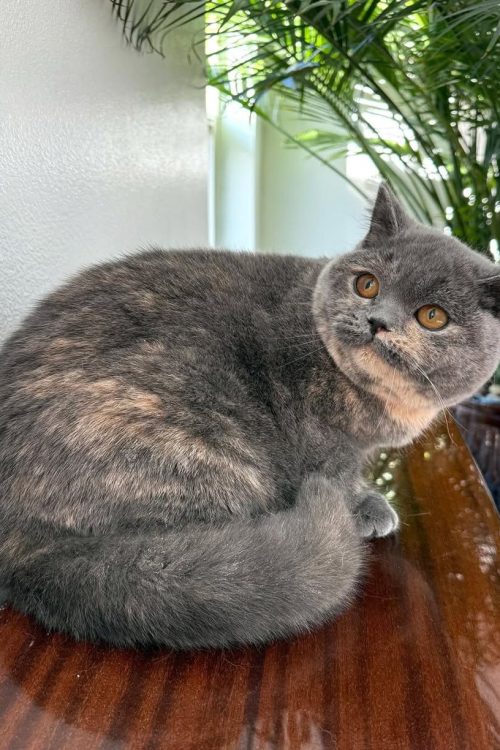 WhatsApp Image 2025-09-24 at 13.55.03 (2)