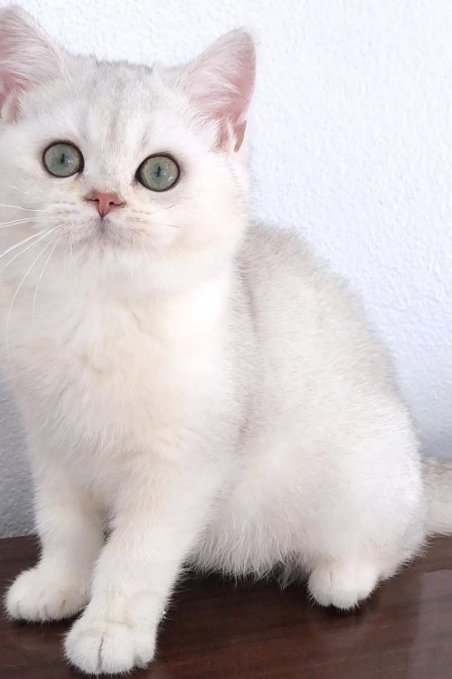 WhatsApp Image 2025-09-24 at 14.06.30