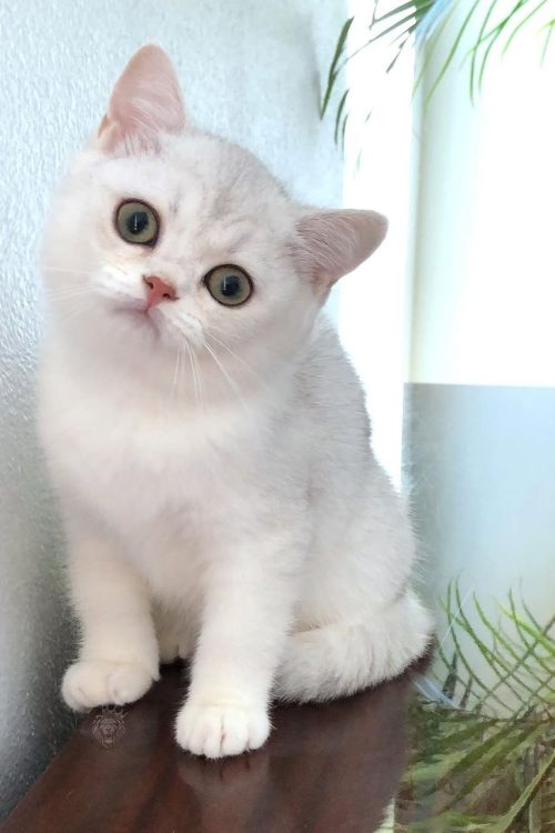 WhatsApp Image 2025-09-24 at 14.06.31 (1)