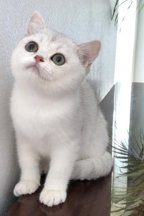 WhatsApp Image 2025-09-24 at 14.06.31 (2)