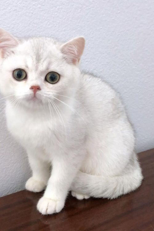 WhatsApp Image 2025-09-24 at 14.06.31