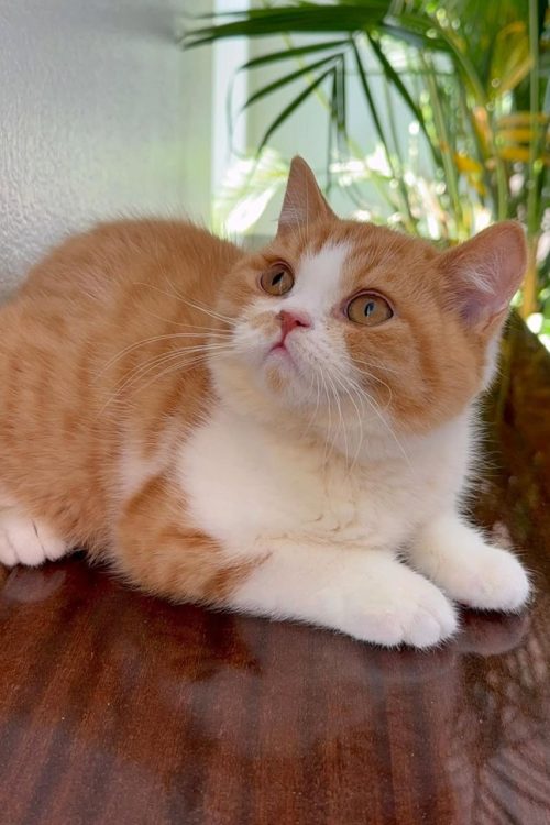 WhatsApp Image 2025-09-25 at 11.47.48 (2)