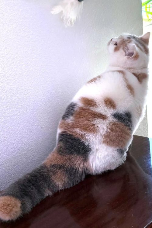 WhatsApp Image 2025-09-25 at 11.55.41 (1)