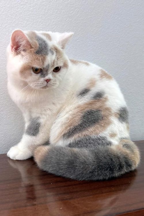 WhatsApp Image 2025-09-25 at 11.55.41 (2)