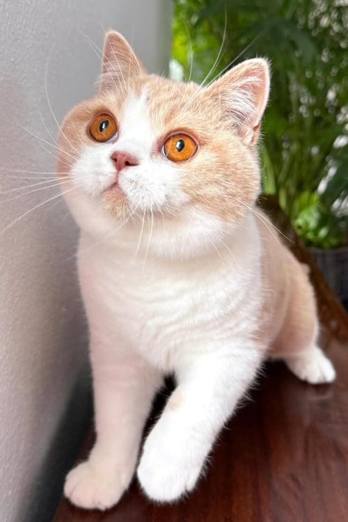 WhatsApp Image 2025-09-25 at 12.11.24 (1)