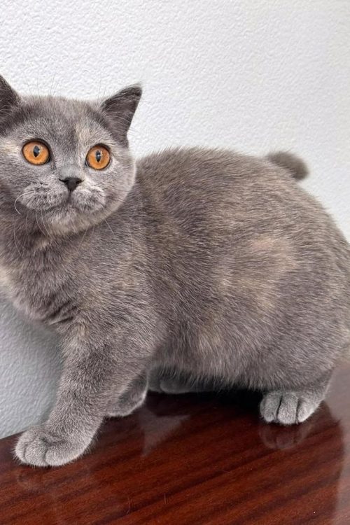 WhatsApp Image 2025-09-25 at 12.28.30 (1)