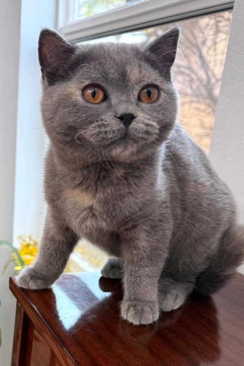 WhatsApp Image 2025-09-25 at 12.28.30