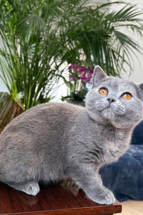 WhatsApp Image 2025-09-25 at 12.28.31 (1)