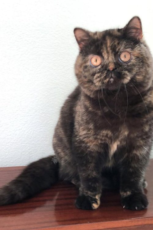 WhatsApp Image 2025-09-25 at 12.59.43 (1)