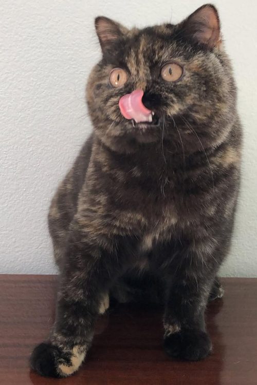 WhatsApp Image 2025-09-25 at 12.59.43 (2)