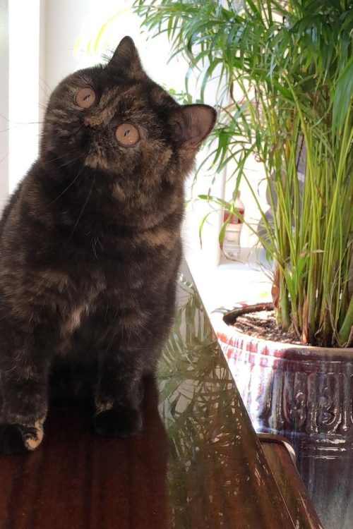 WhatsApp Image 2025-09-25 at 12.59.43 (3)