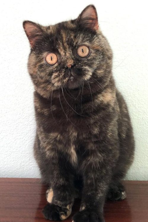 WhatsApp Image 2025-09-25 at 12.59.43