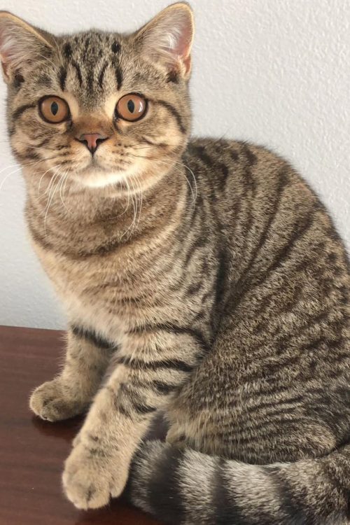 WhatsApp Image 2025-09-25 at 13.19.55