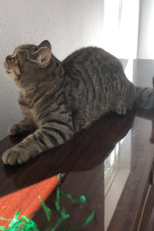 WhatsApp Image 2025-09-25 at 13.19.56 (1)