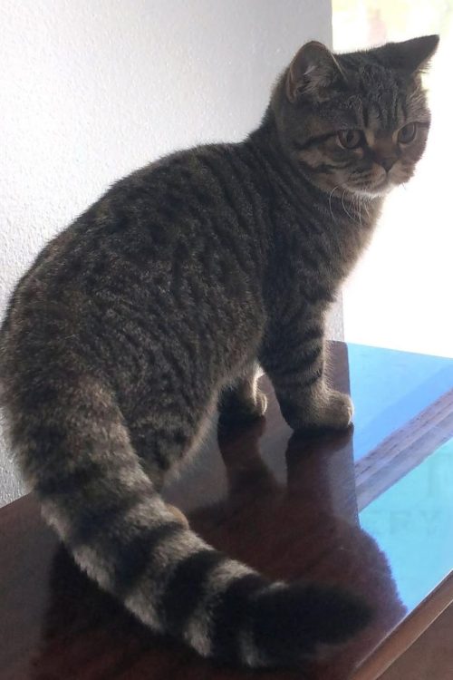 WhatsApp Image 2025-09-25 at 13.19.56 (2)