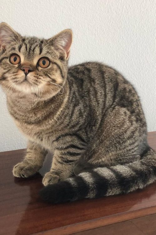 WhatsApp Image 2025-09-25 at 13.19.56