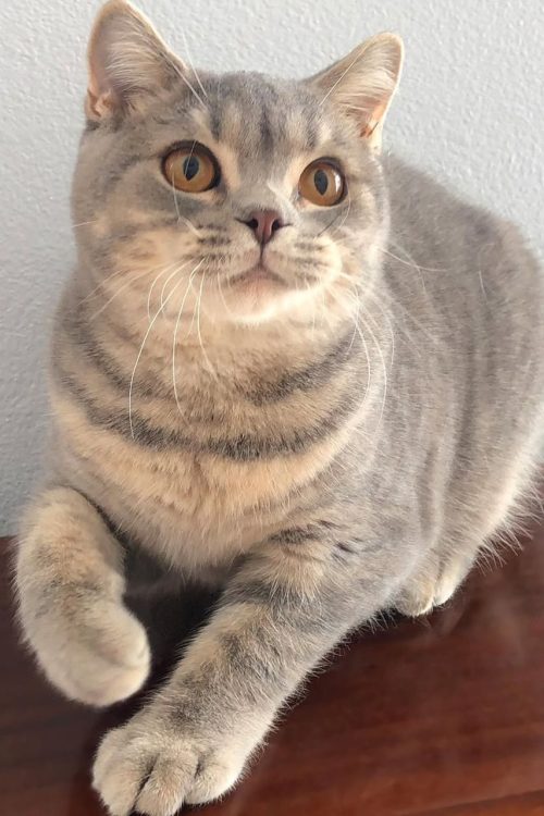 WhatsApp Image 2025-09-25 at 13.29.28