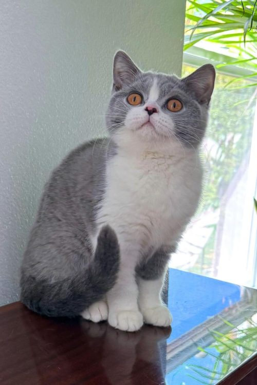 WhatsApp Image 2025-09-25 at 13.50.27 (1)