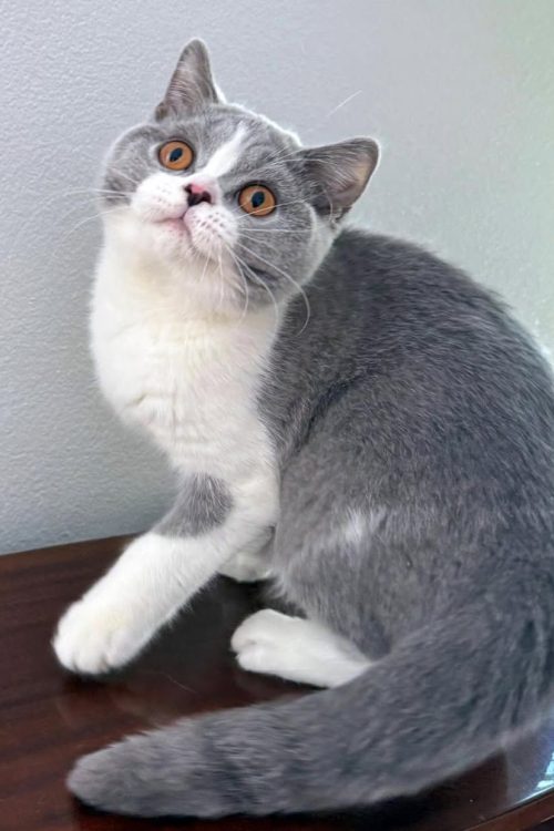 WhatsApp Image 2025-09-25 at 13.50.27 (2)