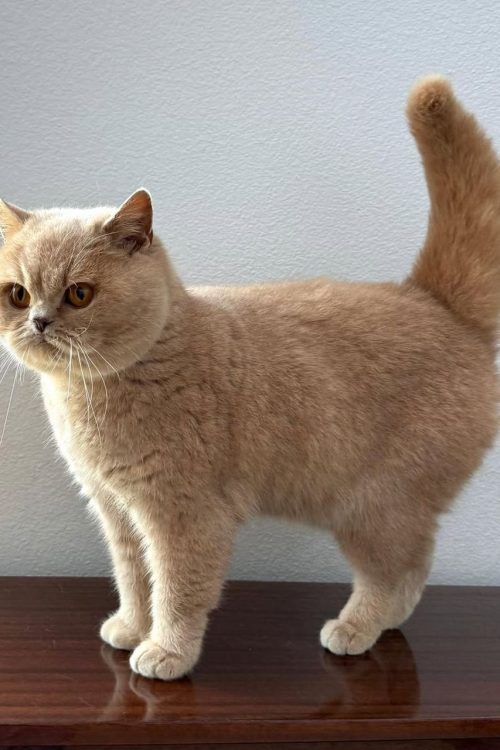 WhatsApp Image 2025-09-25 at 13.55.47 (1)