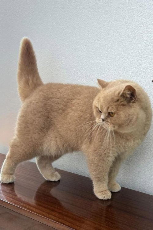 WhatsApp Image 2025-09-25 at 13.55.48 (1)