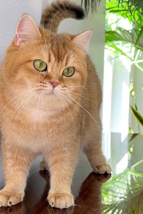 WhatsApp Image 2025-09-25 at 14.16.38 (1)