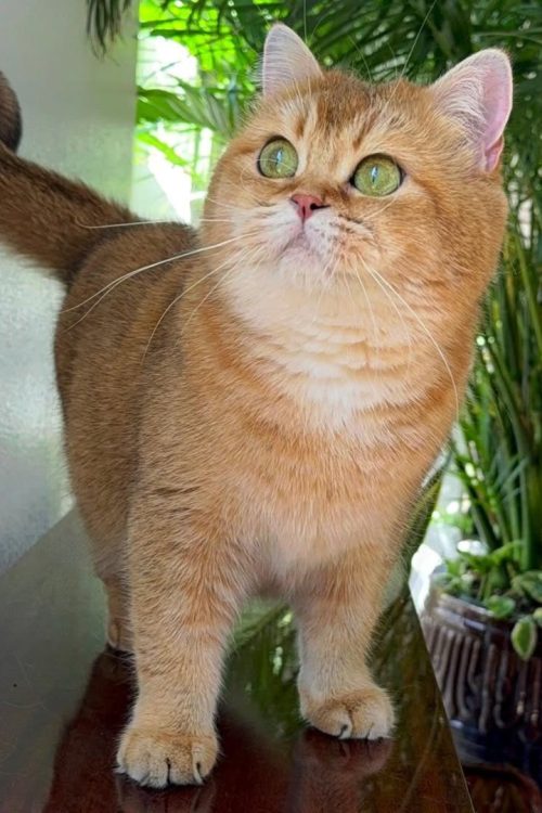 WhatsApp Image 2025-09-25 at 14.16.38