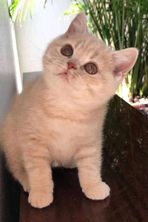 WhatsApp Image 2025-09-25 at 14.23.47 (1)