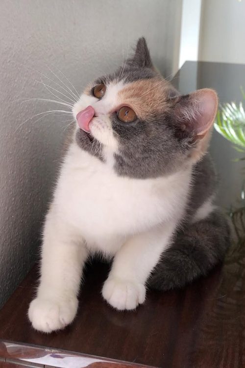 WhatsApp Image 2025-09-25 at 14.29.51 (1)