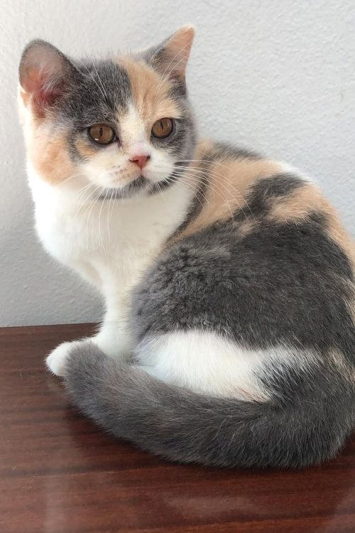 WhatsApp Image 2025-09-25 at 14.29.51