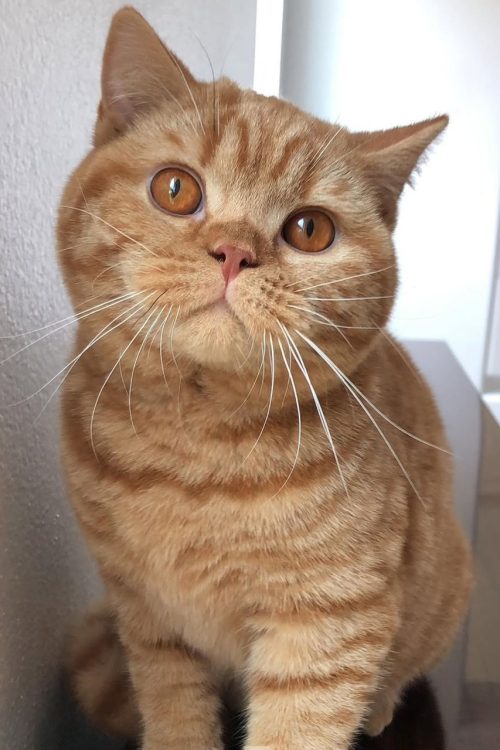 WhatsApp Image 2025-09-25 at 14.40.39 (1)